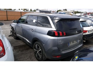 PEUGEOT    5008  EK-894-ZA