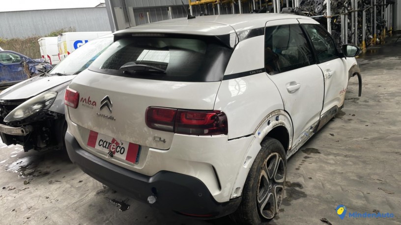 citroen-c4-cactus-big-3