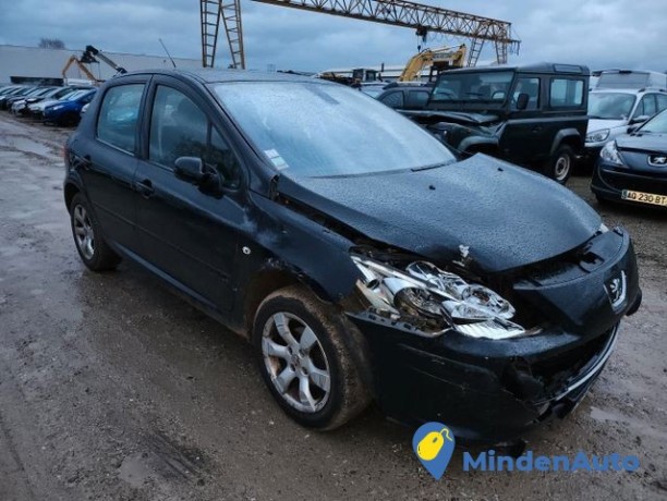 peugeot-307-16l-hdi-90-big-3