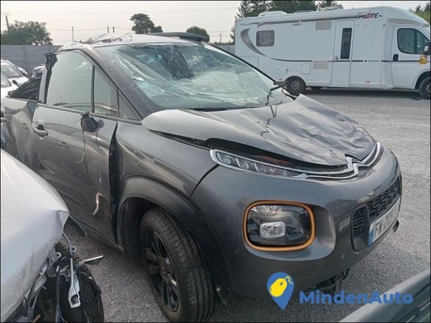 citroen-c3-aircross-rip-curl-big-0