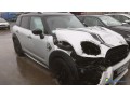 mini-countryman-fx-857-as-small-3