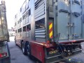 scania-r730-porteur-betalliere-gazole-small-1