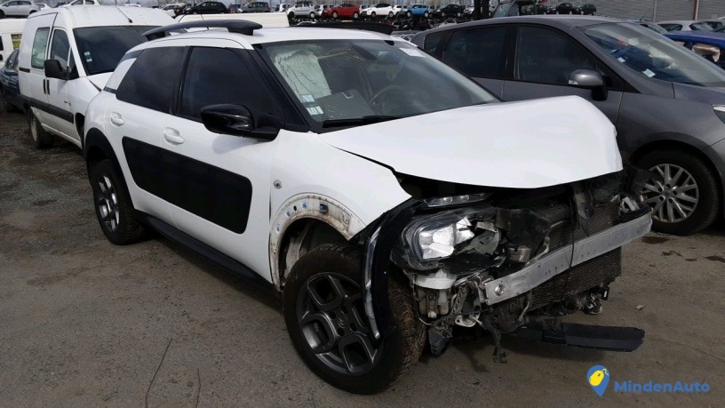 citroen-c4-cactus-dq-o36-wz-big-3