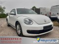 volkswagen-beetle-12-tsi-climatr-pdc-gra-lm-shz-rcd510mp3-77-kw-105-ch-small-2