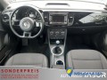 volkswagen-beetle-12-tsi-climatr-pdc-gra-lm-shz-rcd510mp3-77-kw-105-ch-small-4