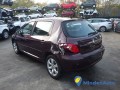 peugeot-307-16-premium-110-small-2