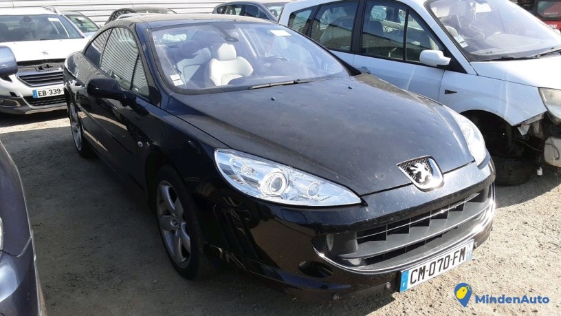 peugeot-407-cm-070-fm-big-2