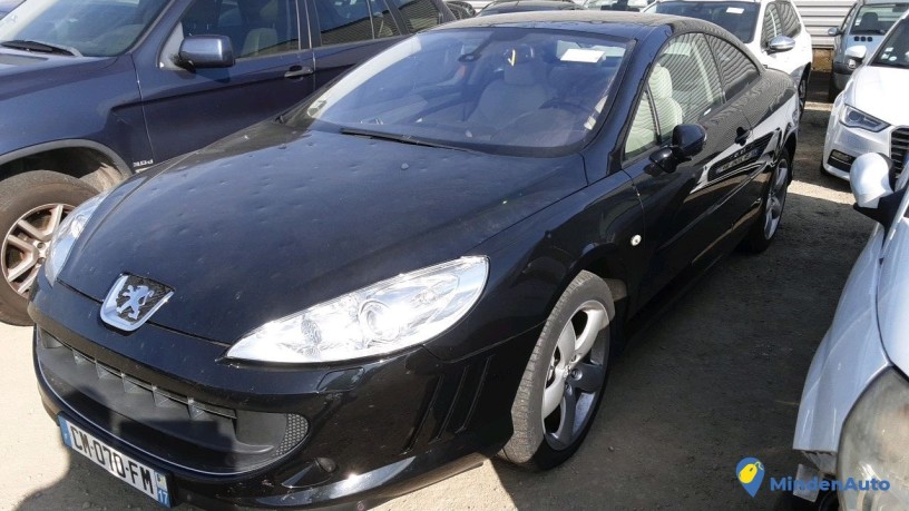 peugeot-407-cm-070-fm-big-0