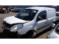 renault-kangoo-el-195-gw-small-1