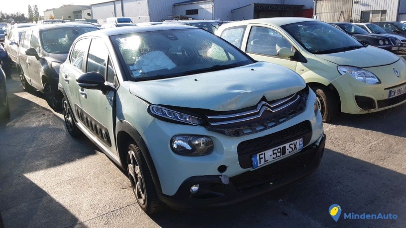 citroen-c3-fl-590-sx-big-2