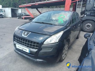 PEUGEOT 3008 1 PHASE 1     13206160