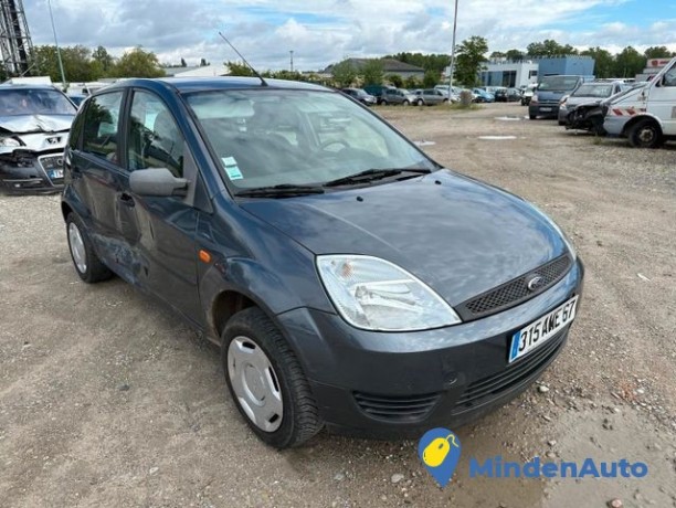 ford-fiesta-14-tdci-ps-1399-5-portes-big-2