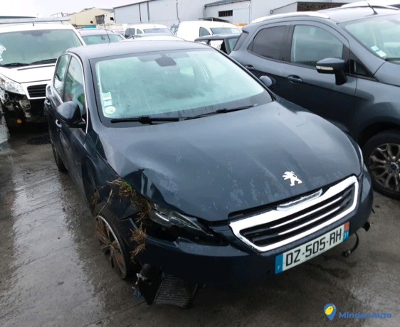 peugeot-308-dz-505-rh-big-2