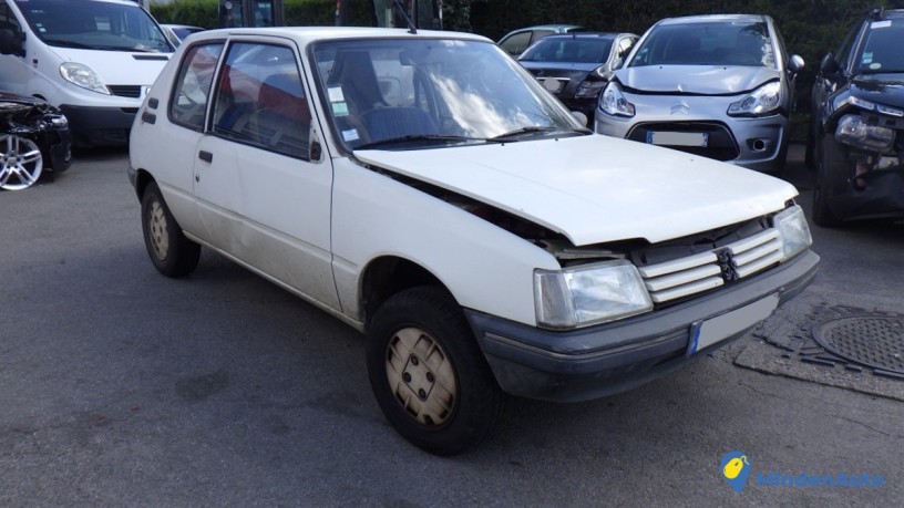 peugeot-205-18-d-big-3