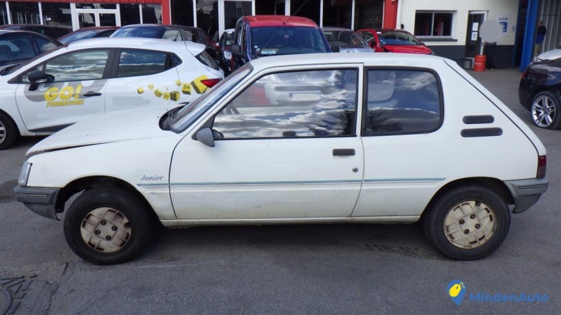 peugeot-205-18-d-big-4