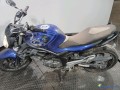 suzuki-sfv650-gladius-essence-small-0