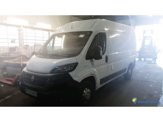 FIAT  DUCATO    FV-219-BY