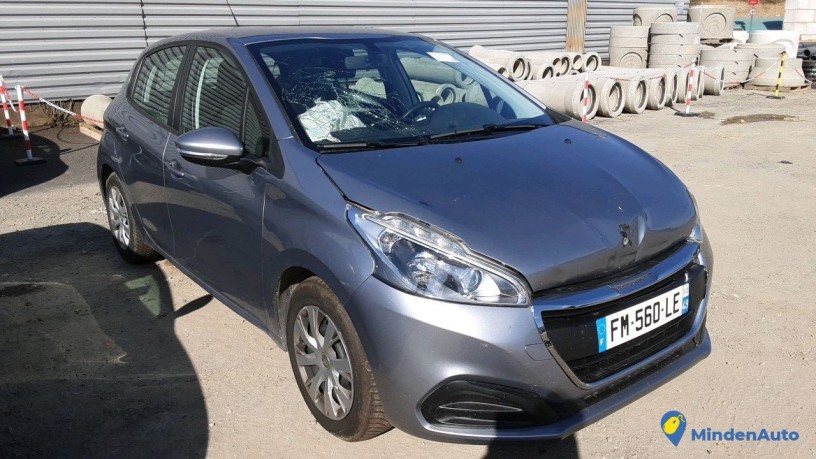 peugeot-208-fm-560-le-big-0