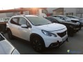 peugeot-2008-eg-494-fe-small-0