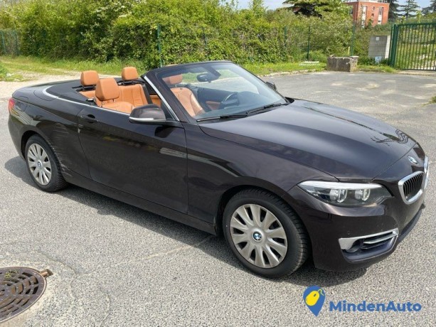 bmw-serie-2-218i-cabriolet-endommage-carte-grise-big-2