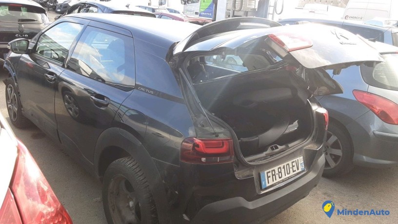 citroen-c4-cactus-fr-810-ev-big-0