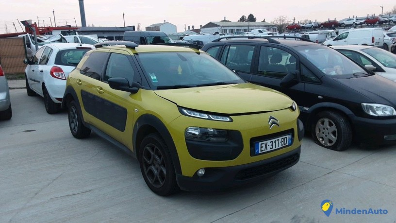 citroen-ca-cactus-ex-317-bd-big-1