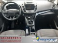 ford-c-max-15-titanium-navi-pdc-shz-keyfree-lm-klima-110-kw-150-ps-small-4