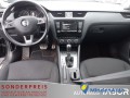 skoda-octavia-combi-20-tdi-dsg-4x4-scout-navi-xenon-135-kw-184-ps-small-4