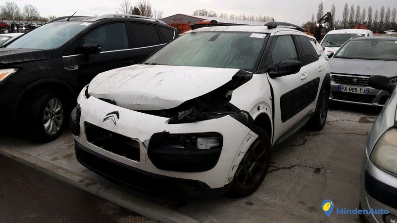 citroen-c4-cactus-dw-549-jj-big-3