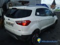 ford-ecosport-phase-1-small-3