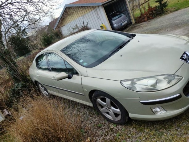 peugeot-407-big-1