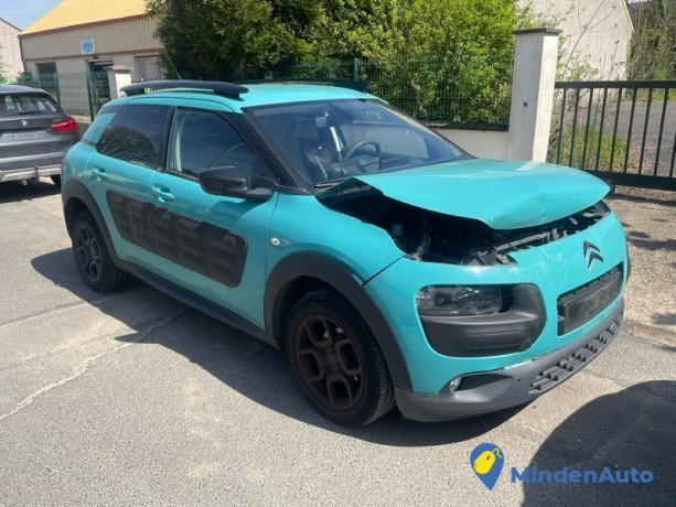 citroen-c4-cactus-endommage-carte-grise-ok-big-3