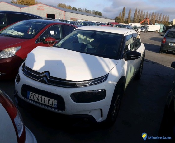 citroen-c4-cactus-fd-411-yj-big-0