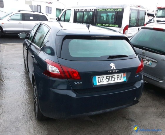 peugeot-308-dz-505-rh-big-1