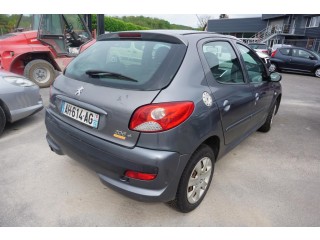 PEUGEOT 206+