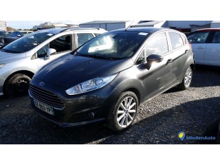 FORD FIESTA  DZ-803-YP