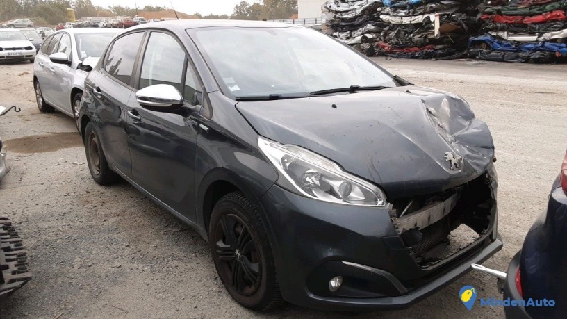 peugeot-208-dw-900-mt-big-2