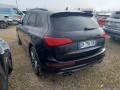 audi-sq5-30-tdi-313-small-0