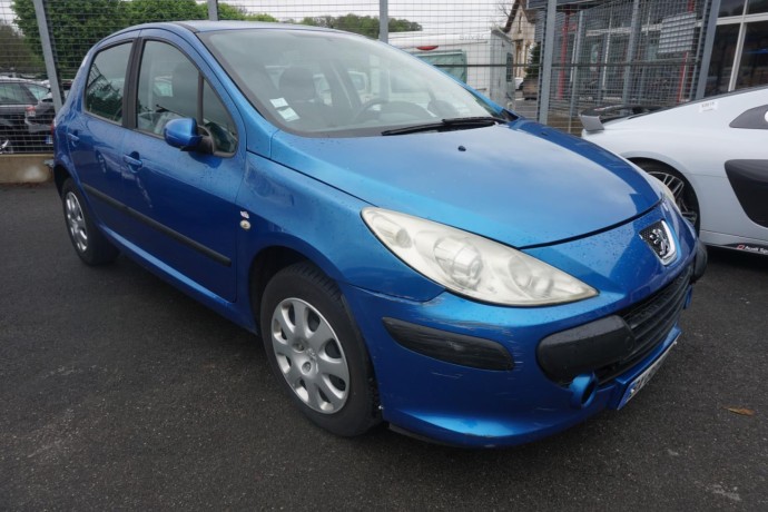 peugeot-307-big-14