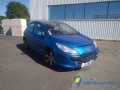 peugeot-307-16l-110-small-2