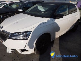 Skoda Fabia Clever 1.0 TSI 95CV