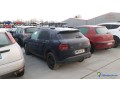 citroen-cactus-dm-642-df-small-1