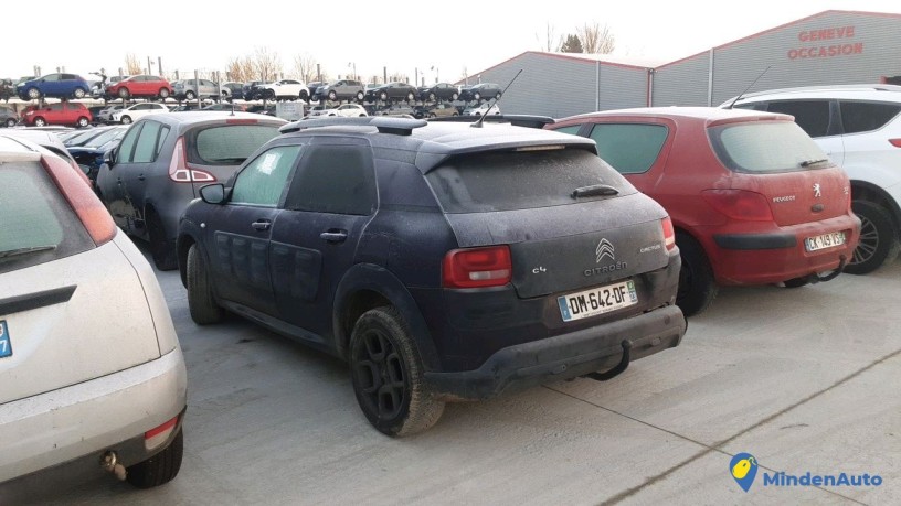 citroen-cactus-dm-642-df-big-1