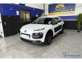 citroen-c4-cactus-small-1